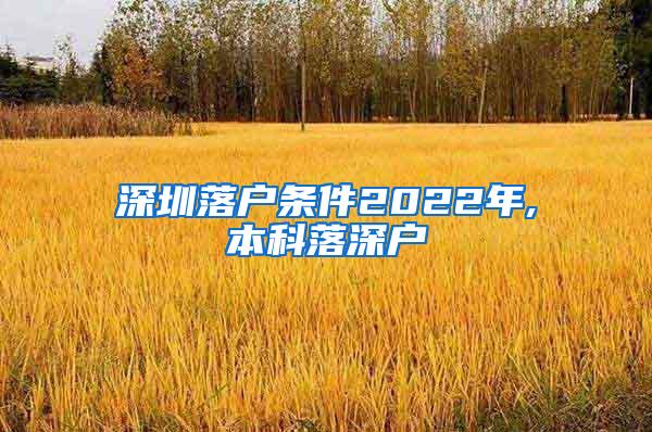 深圳落户条件2022年,本科落深户
