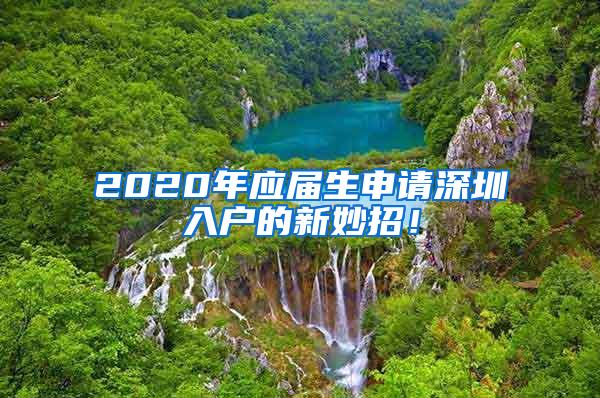 2020年应届生申请深圳入户的新妙招！