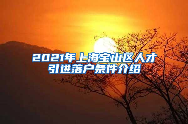 2021年上海宝山区人才引进落户条件介绍