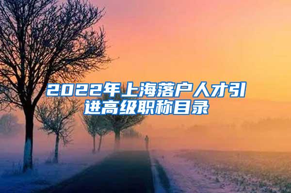 2022年上海落户人才引进高级职称目录