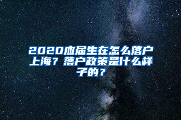 2020应届生在怎么落户上海？落户政策是什么样子的？
