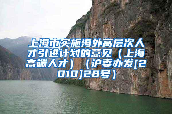 上海市实施海外高层次人才引进计划的意见（上海高端人才）（沪委办发[2010]28号）