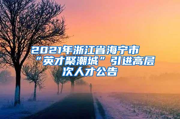 2021年浙江省海宁市“英才聚潮城”引进高层次人才公告