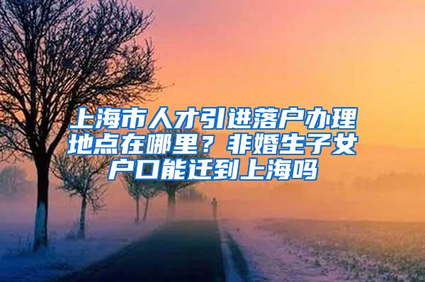 上海市人才引进落户办理地点在哪里？非婚生子女户口能迁到上海吗