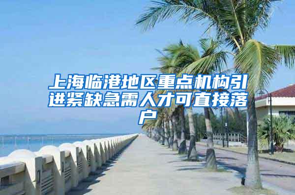上海临港地区重点机构引进紧缺急需人才可直接落户