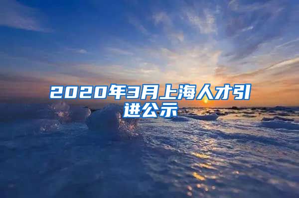 2020年3月上海人才引进公示