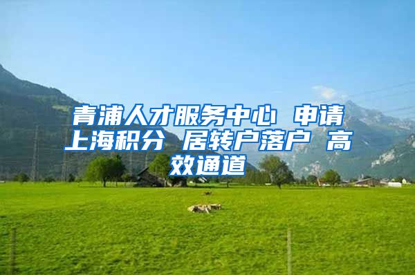 青浦人才服务中心 申请上海积分 居转户落户 高效通道