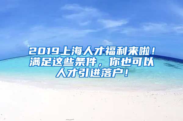 2019上海人才福利来啦！满足这些条件，你也可以人才引进落户！