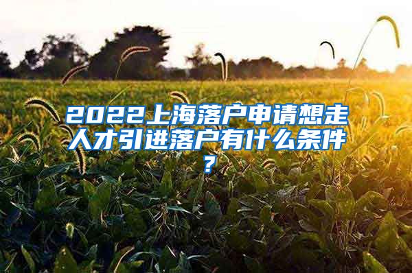 2022上海落户申请想走人才引进落户有什么条件？