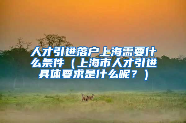 人才引进落户上海需要什么条件（上海市人才引进具体要求是什么呢？）