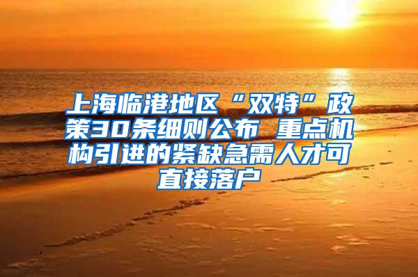上海临港地区“双特”政策30条细则公布 重点机构引进的紧缺急需人才可直接落户