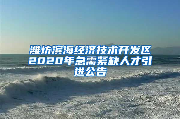 潍坊滨海经济技术开发区2020年急需紧缺人才引进公告
