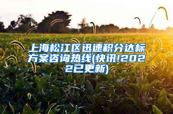 上海松江区迅速积分达标方案咨询热线(快讯!2022已更新)