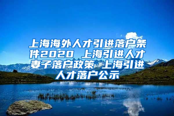 上海海外人才引进落户条件2020 上海引进人才妻子落户政策 上海引进人才落户公示