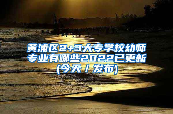 黄浦区2+3大专学校幼师专业有哪些2022已更新(今天／发布)