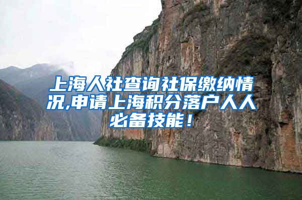 上海人社查询社保缴纳情况,申请上海积分落户人人必备技能！