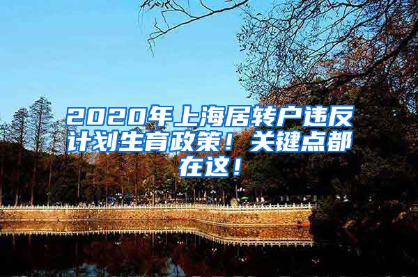 2020年上海居转户违反计划生育政策！关键点都在这！