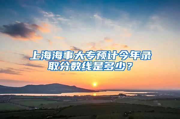 上海海事大专预计今年录取分数线是多少？