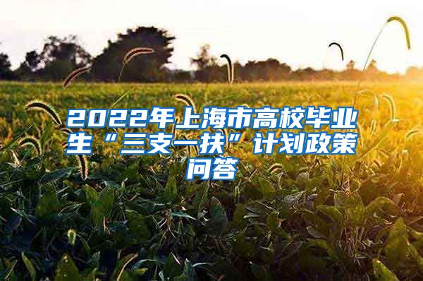 2022年上海市高校毕业生“三支一扶”计划政策问答