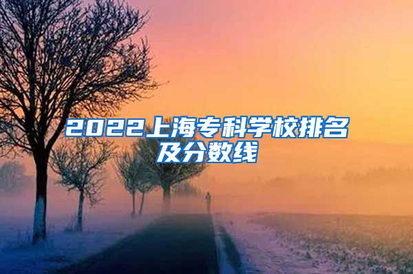 2022上海专科学校排名及分数线