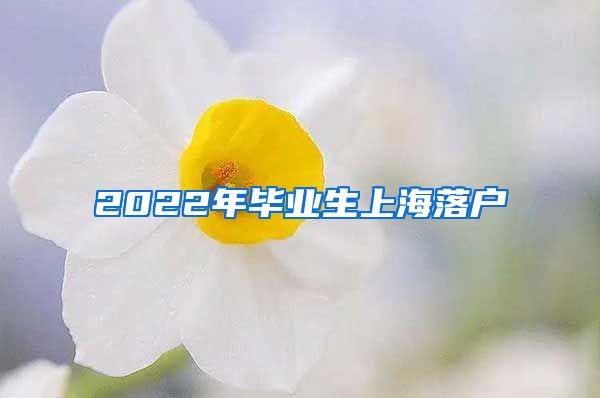 2022年毕业生上海落户