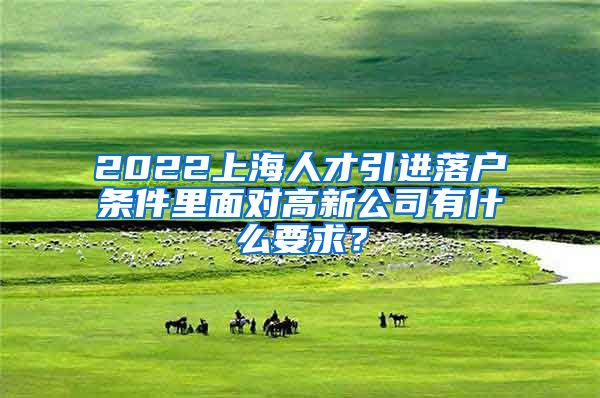 2022上海人才引进落户条件里面对高新公司有什么要求？