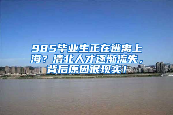 985毕业生正在逃离上海？清北人才逐渐流失，背后原因很现实！