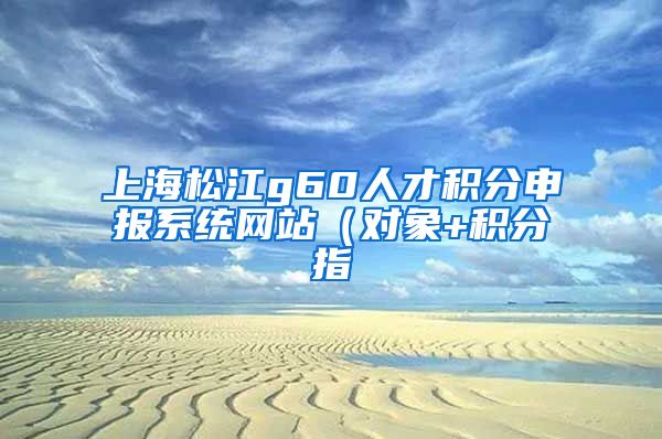 上海松江g60人才积分申报系统网站（对象+积分指