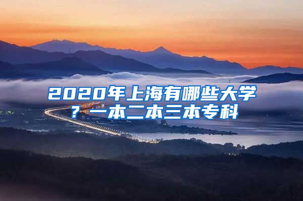 2020年上海有哪些大学？一本二本三本专科