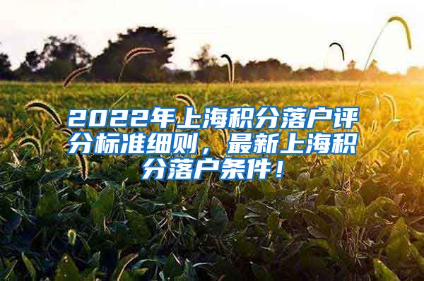 2022年上海积分落户评分标准细则，最新上海积分落户条件！