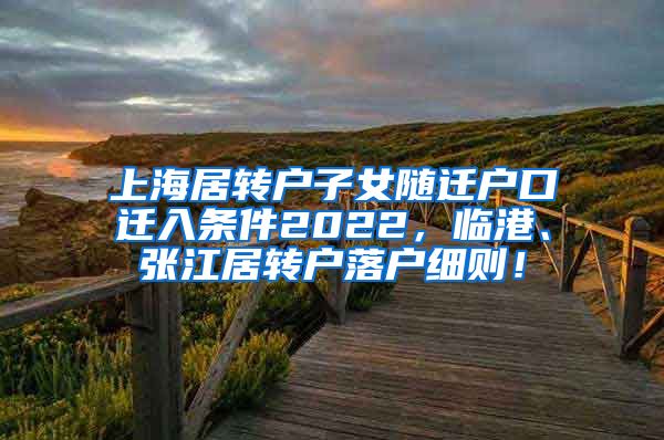 上海居转户子女随迁户口迁入条件2022，临港、张江居转户落户细则！