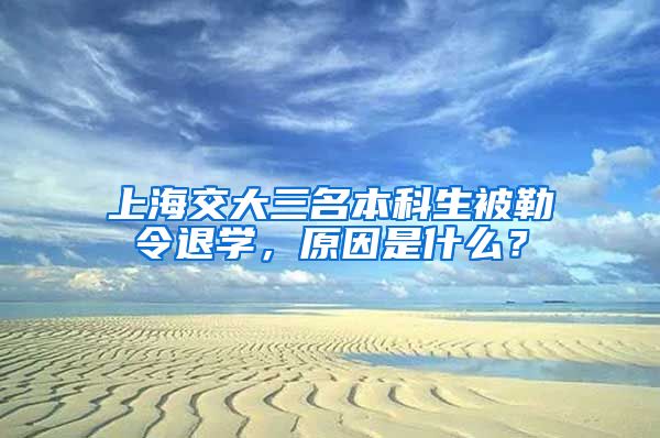 上海交大三名本科生被勒令退学，原因是什么？