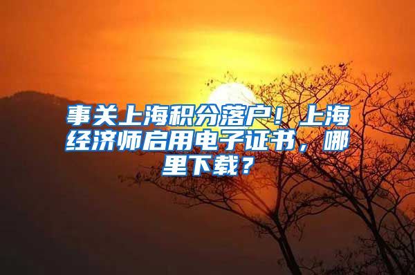 事关上海积分落户！上海经济师启用电子证书，哪里下载？