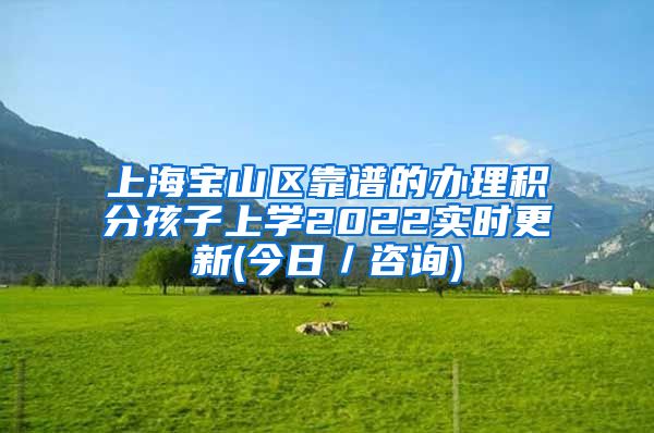 上海宝山区靠谱的办理积分孩子上学2022实时更新(今日／咨询)