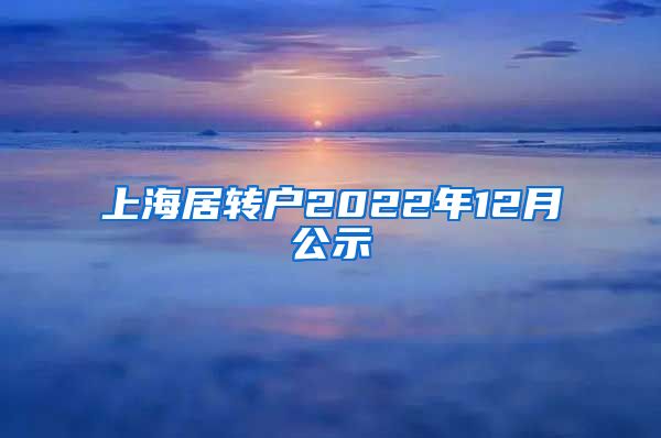 上海居转户2022年12月公示