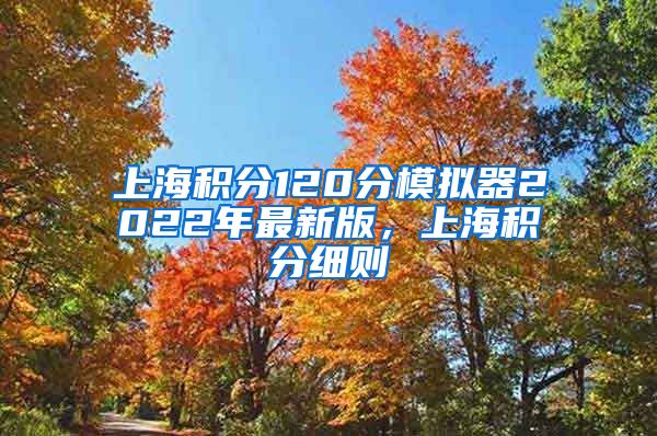 上海积分120分模拟器2022年最新版，上海积分细则
