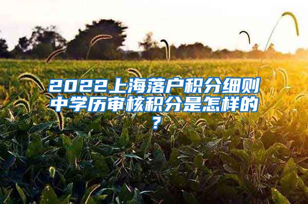 2022上海落户积分细则中学历审核积分是怎样的？