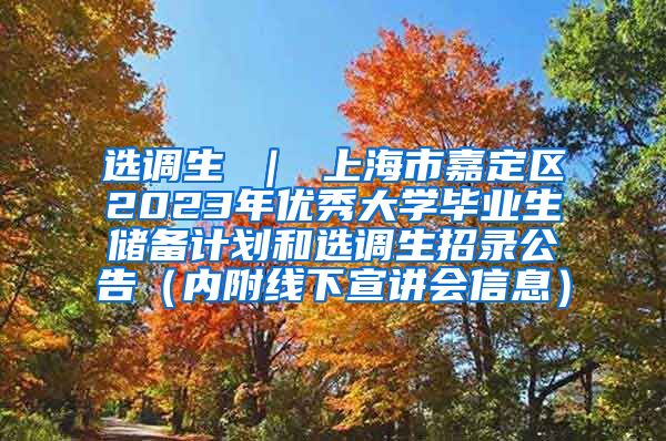 选调生 ｜ 上海市嘉定区2023年优秀大学毕业生储备计划和选调生招录公告（内附线下宣讲会信息）
