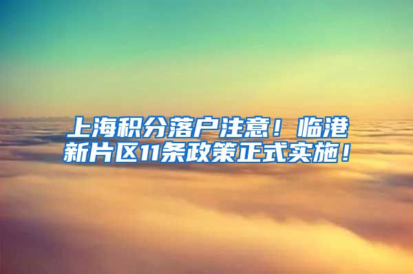 上海积分落户注意！临港新片区11条政策正式实施！