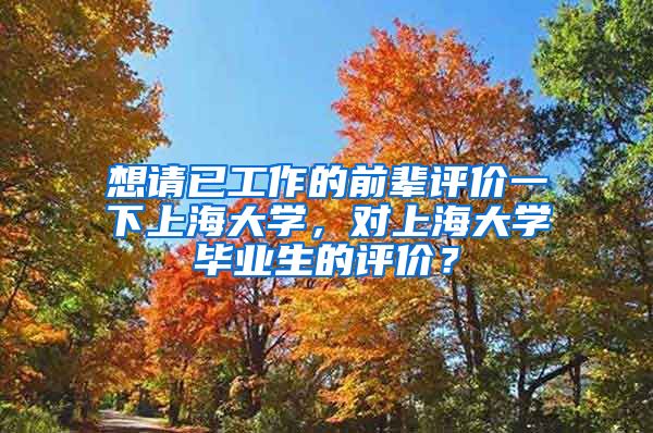 想请已工作的前辈评价一下上海大学，对上海大学毕业生的评价？