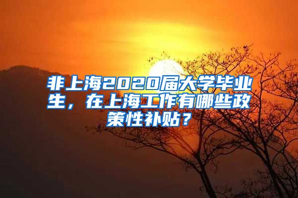 非上海2020届大学毕业生，在上海工作有哪些政策性补贴？