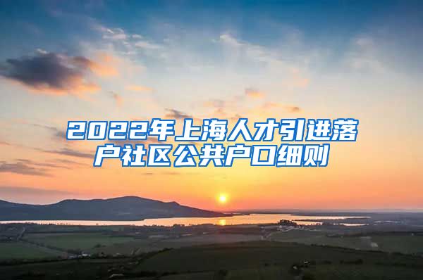 2022年上海人才引进落户社区公共户口细则