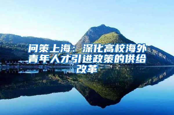 问策上海：深化高校海外青年人才引进政策的供给改革