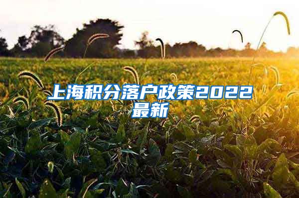 上海积分落户政策2022最新