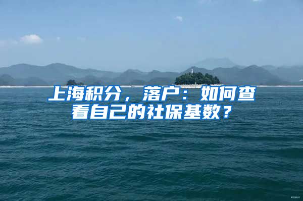 上海积分，落户：如何查看自己的社保基数？