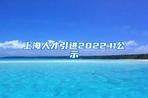 上海人才引进2022.11公示