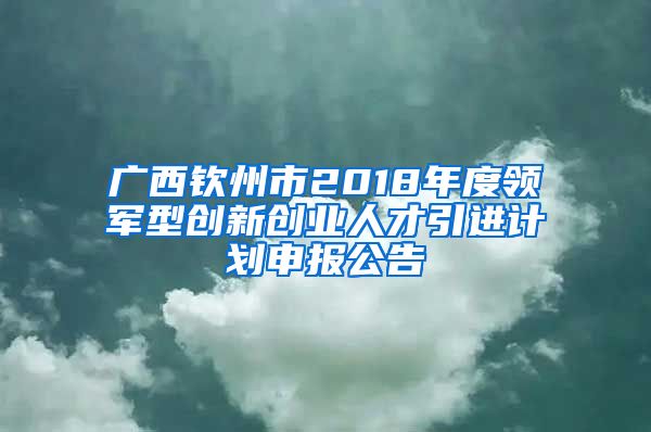 广西钦州市2018年度领军型创新创业人才引进计划申报公告