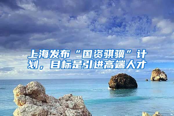 上海发布“国资骐骥”计划，目标是引进高端人才