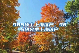 985硕士上海落户，985研究生上海落户