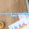 2019年上海人才引进落户条件有哪些？